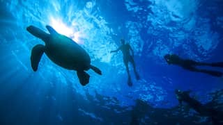 Living Ocean Tours